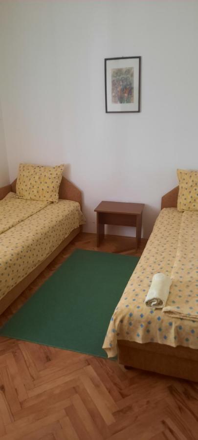 Privatni Smestaj Nanica Mataruska Banja Esterno foto