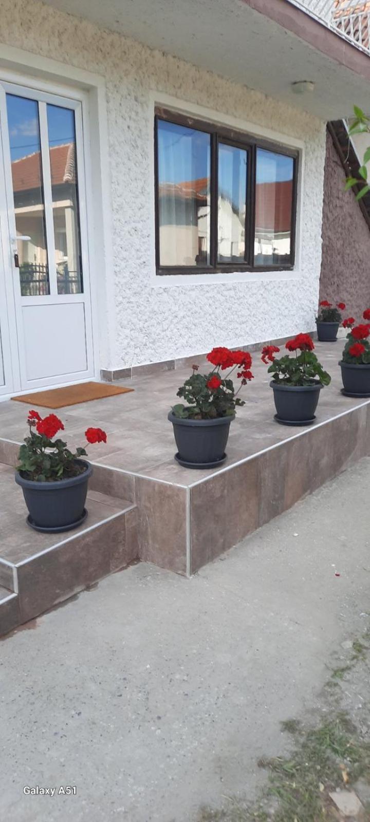Privatni Smestaj Nanica Mataruska Banja Esterno foto