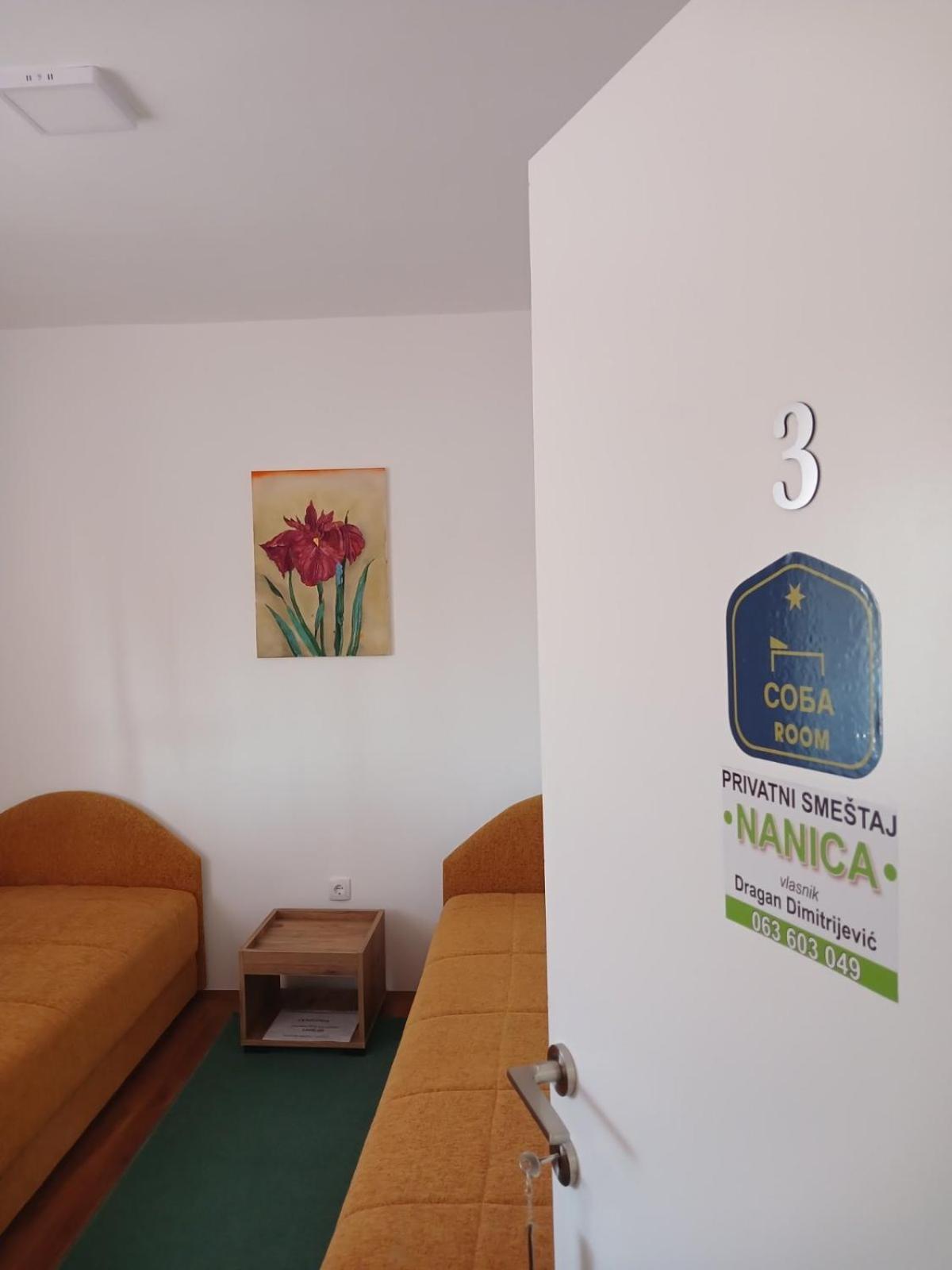 Privatni Smestaj Nanica Mataruska Banja Esterno foto